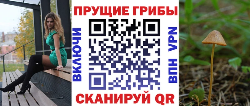 купить наркоту Еманжелинск Псилоцибиновые грибы ЛСД