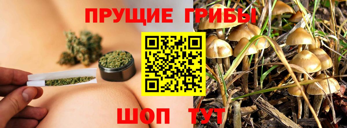 Еманжелинск  где можно купить наркотик  Вход с VPN  Галлюциногенные грибы MAGIC MUSHROOMS 